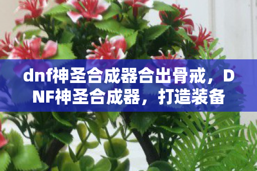 dnf神圣合成器合出骨戒,DNF神圣合成器,打造装备新境界的神奇工具 dnf神圣合成器合出骨戒,DNF神圣合成器,打造装备新境界的神奇工具