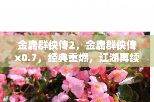 金庸群侠传2,金庸群侠传x0.7,经典重燃,江湖再续 金庸群侠传2,金庸群侠传x0.7,经典重燃,江湖再续