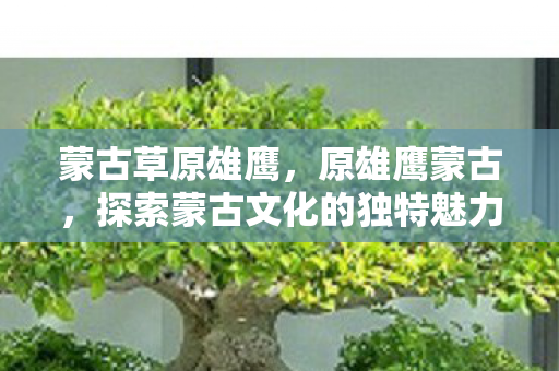 蒙古草原雄鹰,原雄鹰蒙古,探索蒙古文化的独特魅力 蒙古草原雄鹰,原雄鹰蒙古,探索蒙古文化的独特魅力