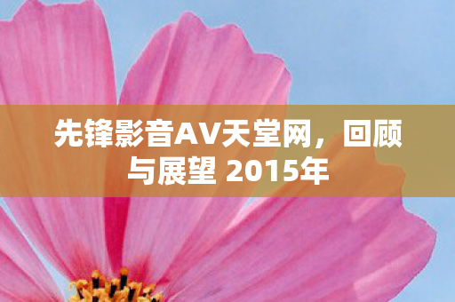 先锋影音AV天堂网,回顾与展望 2015年 先锋影音AV天堂网,回顾与展望 2015年