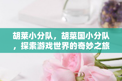 胡莱小分队,胡菜国小分队,探索游戏世界的奇妙之旅 胡莱小分队,胡菜国小分队,探索游戏世界的奇妙之旅