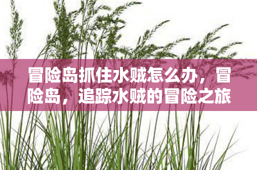 冒险岛抓住水贼怎么办,冒险岛,追踪水贼的冒险之旅 冒险岛抓住水贼怎么办,冒险岛,追踪水贼的冒险之旅