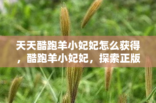天天酷跑羊小妃妃怎么获得，酷跑羊小妃妃，探索正版游戏的魅力与乐趣