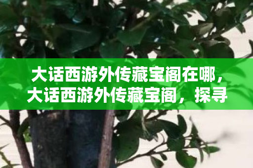 大话西游外传藏宝阁在哪,大话西游外传藏宝阁,探寻游戏中的财富与传奇 大话西游外传藏宝阁在哪,大话西游外传藏宝阁,探寻游戏中的财富与传奇