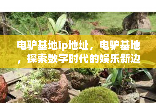 电驴基地ip地址,电驴基地,探索数字时代的娱乐新边疆 电驴基地ip地址,电驴基地,探索数字时代的娱乐新边疆