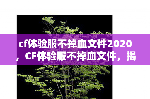 cf体验服不掉血文件2020,CF体验服不掉血文件,揭秘游戏测试中的神秘现象 cf体验服不掉血文件2020,CF体验服不掉血文件,揭秘游戏测试中的神秘现象