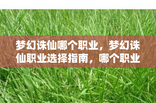 梦幻诛仙哪个职业,梦幻诛仙职业选择指南,哪个职业最适合你? 梦幻诛仙哪个职业,梦幻诛仙职业选择指南,哪个职业最适合你?