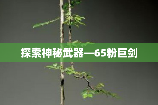 探索神秘武器—65粉巨剑 探索神秘武器—65粉巨剑