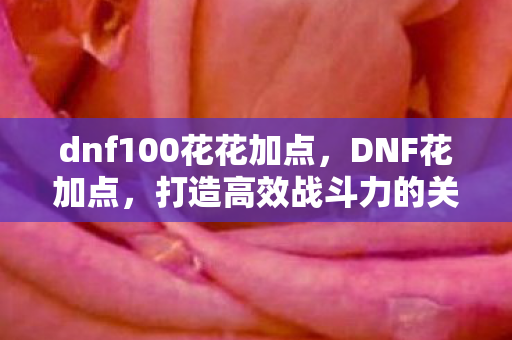 dnf100花花加点,DNF花加点,打造高效战斗力的关键 dnf100花花加点,DNF花加点,打造高效战斗力的关键