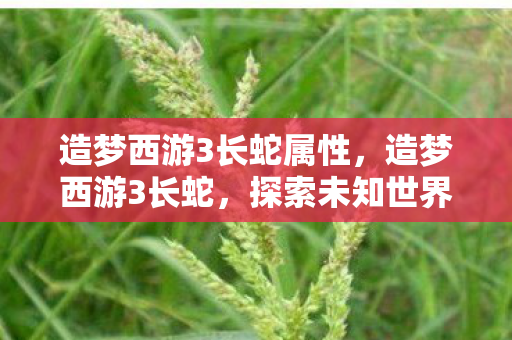 造梦西游3长蛇属性,造梦西游3长蛇,探索未知世界的奇幻之旅 造梦西游3长蛇属性,造梦西游3长蛇,探索未知世界的奇幻之旅