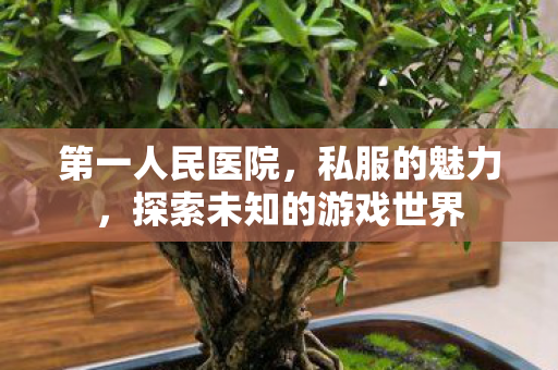 第一人民医院,私服的魅力,探索未知的游戏世界 第一人民医院,私服的魅力,探索未知的游戏世界