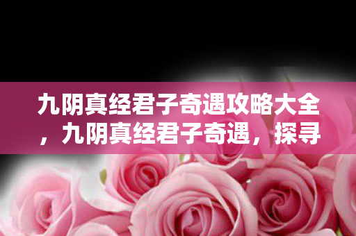九阴真经君子奇遇攻略大全,九阴真经君子奇遇,探寻武侠世界的君子之道 九阴真经君子奇遇攻略大全,九阴真经君子奇遇,探寻武侠世界的君子之道
