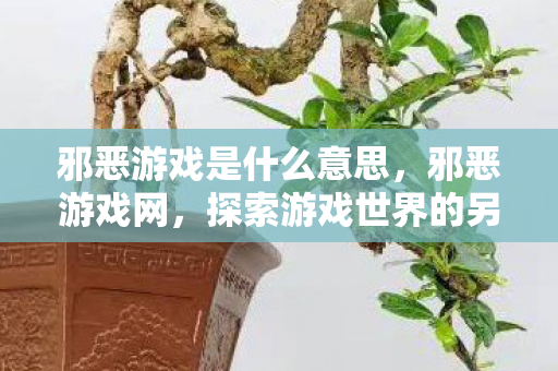 邪恶游戏是什么意思,邪恶游戏网,探索游戏世界的另一面 邪恶游戏是什么意思,邪恶游戏网,探索游戏世界的另一面