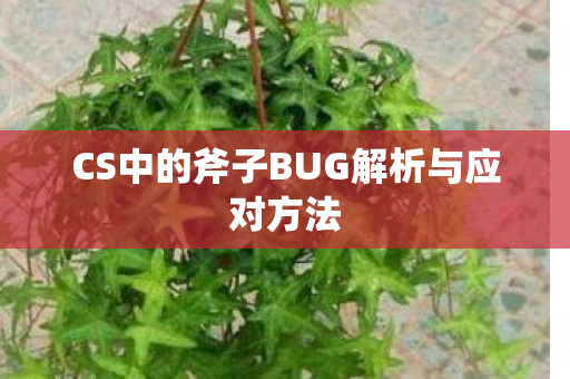 CS中的斧子BUG解析与应对方法 CS中的斧子BUG解析与应对方法