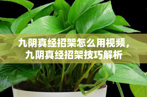 九阴真经招架怎么用视频,九阴真经招架技巧解析 九阴真经招架怎么用视频,九阴真经招架技巧解析
