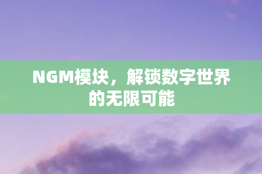 NGM模块，解锁数字世界的无限可能