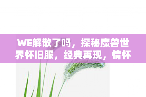 WE解散了吗，探秘魔兽世界怀旧服，经典再现，情怀与创新的碰撞