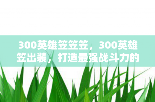 300英雄笠笠笠,300英雄笠出装,打造最强战斗力的关键 300英雄笠笠笠,300英雄笠出装,打造最强战斗力的关键
