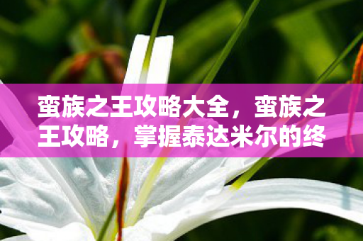 蛮族之王攻略大全,蛮族之王攻略,掌握泰达米尔的终极技巧 蛮族之王攻略大全,蛮族之王攻略,掌握泰达米尔的终极技巧