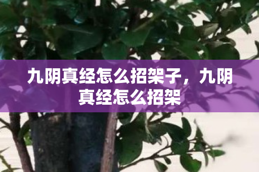 九阴真经怎么招架子,九阴真经怎么招架 九阴真经怎么招架子,九阴真经怎么招架