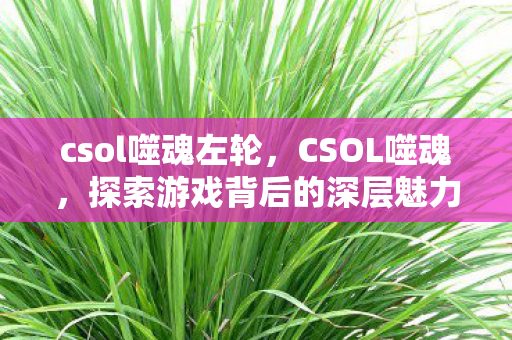csol噬魂左轮,CSOL噬魂,探索游戏背后的深层魅力 csol噬魂左轮,CSOL噬魂,探索游戏背后的深层魅力