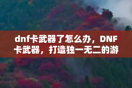 dnf卡武器了怎么办,DNF卡武器,打造独一无二的游戏利器 dnf卡武器了怎么办,DNF卡武器,打造独一无二的游戏利器