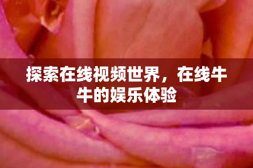 探索在线视频世界，在线牛牛的娱乐体验