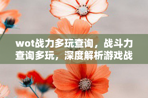 wot战力多玩查询,战斗力查询多玩,深度解析游戏战斗力的奥秘 wot战力多玩查询,战斗力查询多玩,深度解析游戏战斗力的奥秘