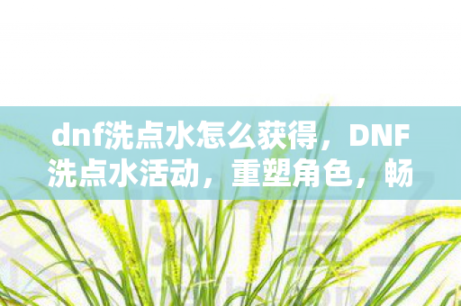 dnf洗点水怎么获得,DNF洗点水活动,重塑角色,畅享无限可能 dnf洗点水怎么获得,DNF洗点水活动,重塑角色,畅享无限可能