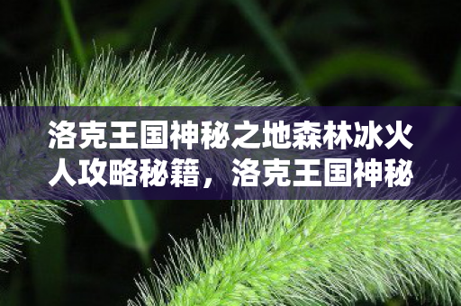 洛克王国神秘之地森林冰火人攻略秘籍,洛克王国神秘之地,探索未知领域的奇幻之旅 洛克王国神秘之地森林冰火人攻略秘籍,洛克王国神秘之地,探索未知领域的奇幻之旅