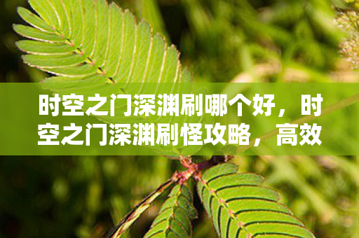 时空之门深渊刷哪个好,时空之门深渊刷怪攻略,高效刷怪地点推荐 时空之门深渊刷哪个好,时空之门深渊刷怪攻略,高效刷怪地点推荐