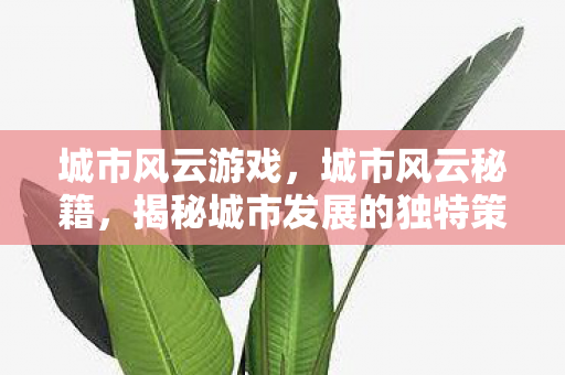 城市风云游戏,城市风云秘籍,揭秘城市发展的独特策略与智慧 城市风云游戏,城市风云秘籍,揭秘城市发展的独特策略与智慧