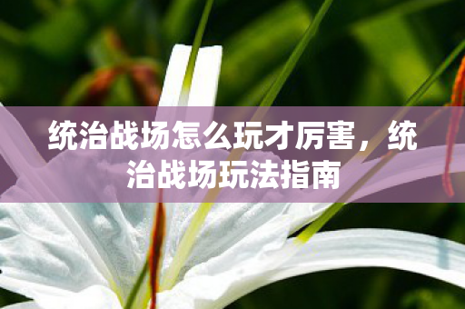 统治战场怎么玩才厉害,统治战场玩法指南 统治战场怎么玩才厉害,统治战场玩法指南