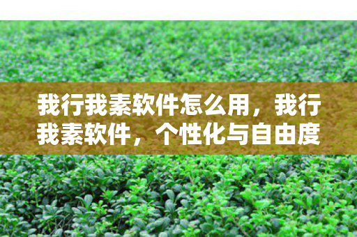 我行我素软件怎么用,我行我素软件,个性化与自由度的完美融合 我行我素软件怎么用,我行我素软件,个性化与自由度的完美融合