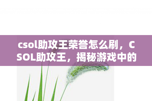 csol助攻王荣誉怎么刷，CSOL助攻王，揭秘游戏中的助攻艺术