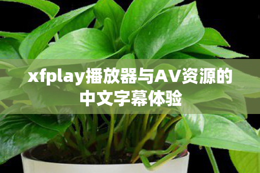 xfplay播放器与AV资源的中文字幕体验 xfplay播放器与AV资源的中文字幕体验