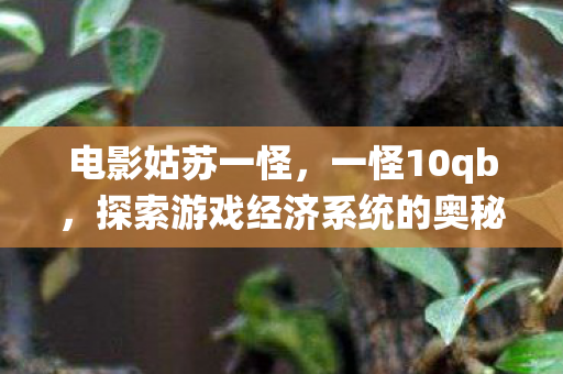 电影姑苏一怪,一怪10qb,探索游戏经济系统的奥秘 电影姑苏一怪,一怪10qb,探索游戏经济系统的奥秘