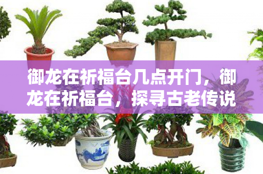 御龙在祈福台几点开门,御龙在祈福台,探寻古老传说中的神秘之地 御龙在祈福台几点开门,御龙在祈福台,探寻古老传说中的神秘之地