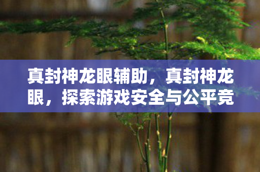 真封神龙眼辅助,真封神龙眼,探索游戏安全与公平竞技的边界 真封神龙眼辅助,真封神龙眼,探索游戏安全与公平竞技的边界