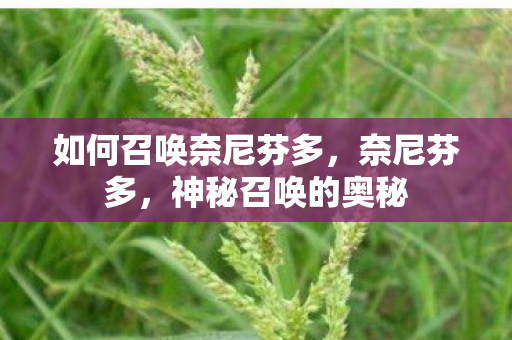 如何召唤奈尼芬多,奈尼芬多,神秘召唤的奥秘 如何召唤奈尼芬多,奈尼芬多,神秘召唤的奥秘