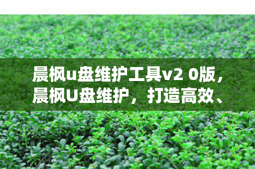 晨枫u盘维护工具v2 0版,晨枫U盘维护,打造高效、安全的系统维护新方案 晨枫u盘维护工具v2 0版,晨枫U盘维护,打造高效、安全的系统维护新方案