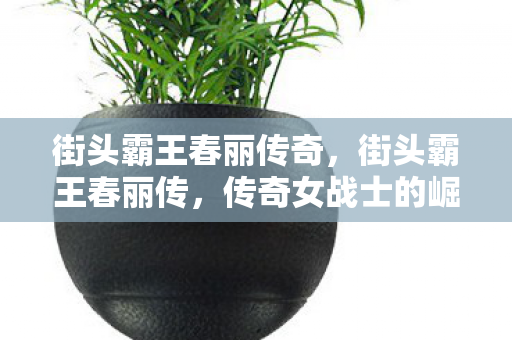 街头霸王春丽传奇,街头霸王春丽传,传奇女战士的崛起 街头霸王春丽传奇,街头霸王春丽传,传奇女战士的崛起