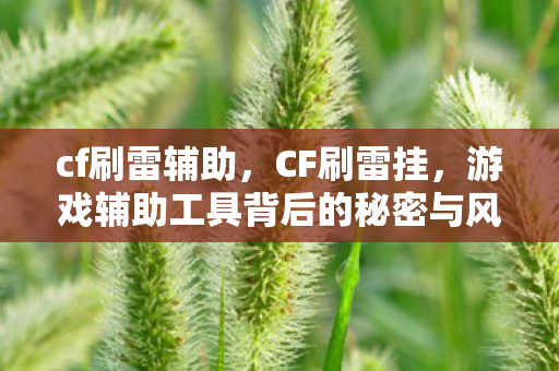 cf刷雷辅助,CF刷雷挂,游戏辅助工具背后的秘密与风险 cf刷雷辅助,CF刷雷挂,游戏辅助工具背后的秘密与风险