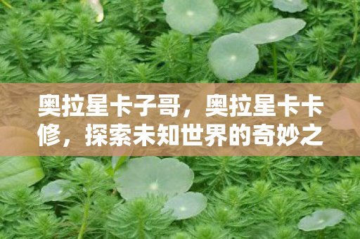 奥拉星卡子哥,奥拉星卡卡修,探索未知世界的奇妙之旅 奥拉星卡子哥,奥拉星卡卡修,探索未知世界的奇妙之旅