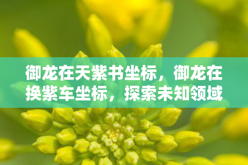 御龙在天紫书坐标,御龙在换紫车坐标,探索未知领域的奇幻之旅 御龙在天紫书坐标,御龙在换紫车坐标,探索未知领域的奇幻之旅