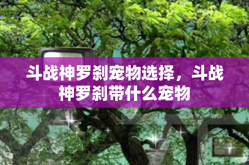 斗战神罗刹宠物选择，斗战神罗刹带什么宠物