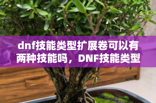dnf技能类型扩展卷可以有两种技能吗,DNF技能类型扩展卷,解锁全新战斗体验 dnf技能类型扩展卷可以有两种技能吗,DNF技能类型扩展卷,解锁全新战斗体验