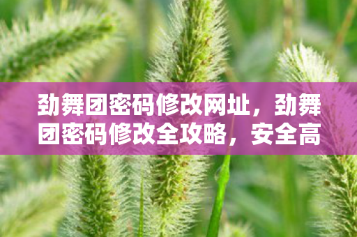 劲舞团密码修改网址,劲舞团密码修改全攻略,安全高效,轻松掌握 劲舞团密码修改网址,劲舞团密码修改全攻略,安全高效,轻松掌握