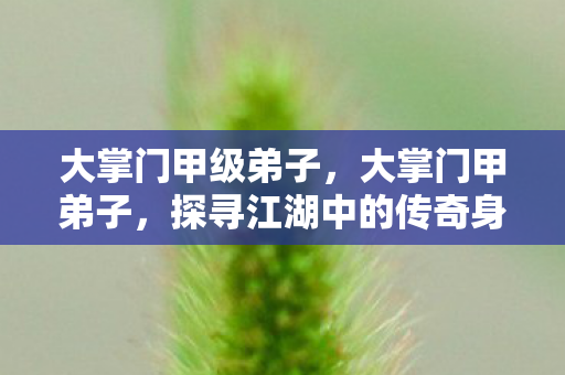 大掌门甲级弟子,大掌门甲弟子,探寻江湖中的传奇身影 大掌门甲级弟子,大掌门甲弟子,探寻江湖中的传奇身影