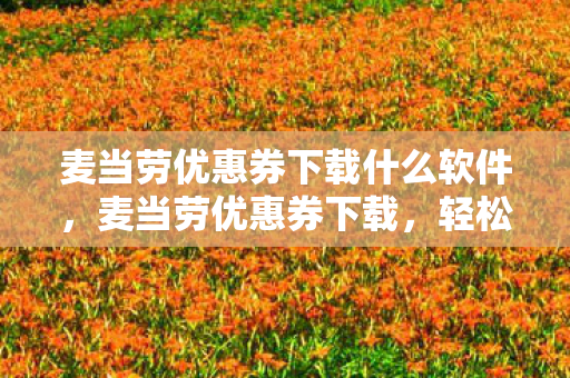 麦当劳优惠券下载什么软件，麦当劳优惠券下载，轻松获取，尽享美味优惠